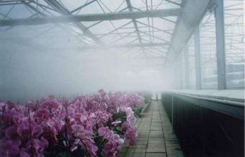 鲜花大棚-喷雾加湿