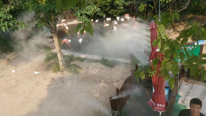 上海野生动物园-喷雾降温