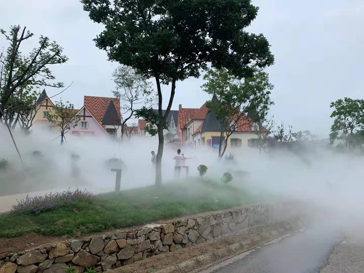 南京大塘金香草谷喷雾